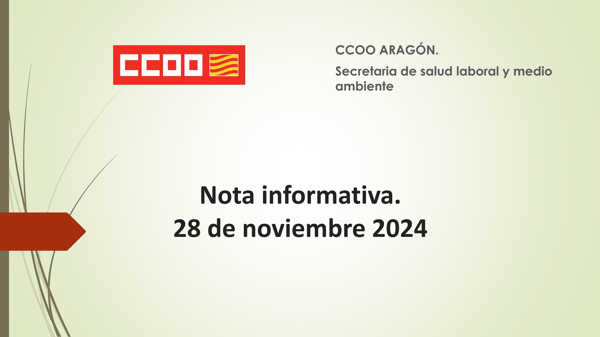 Nota informativa. 28 de noviembre 2024